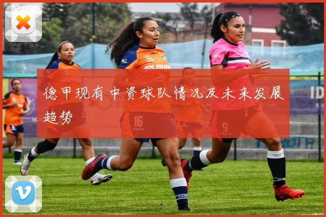 德甲现有中资球队情况及未来发展趋势