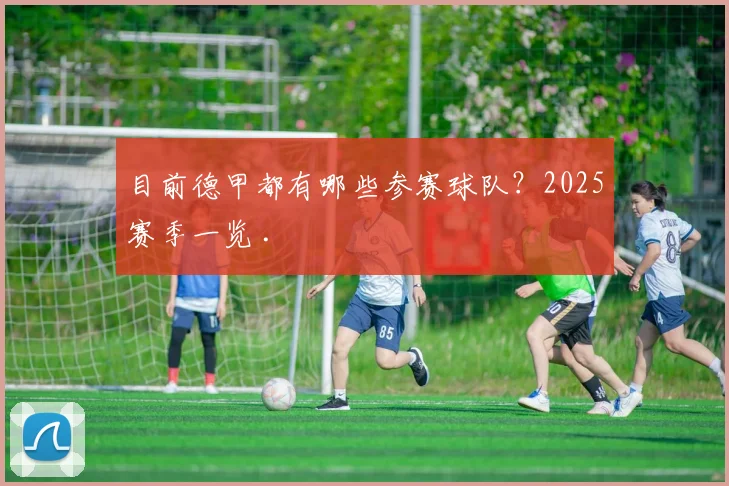 目前德甲都有哪些参赛球队？2025赛季一览 .