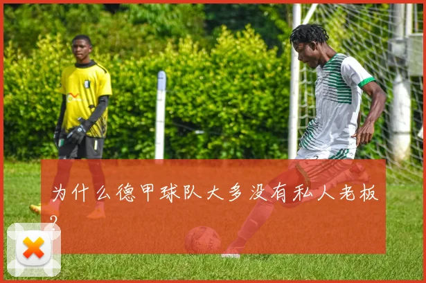 为什么德甲球队大多没有私人老板？